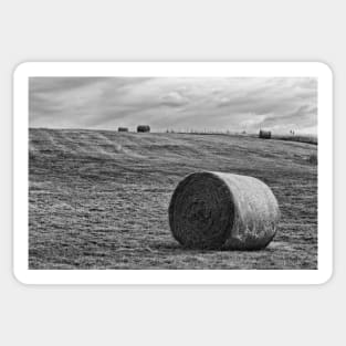 Hay Bales Sticker